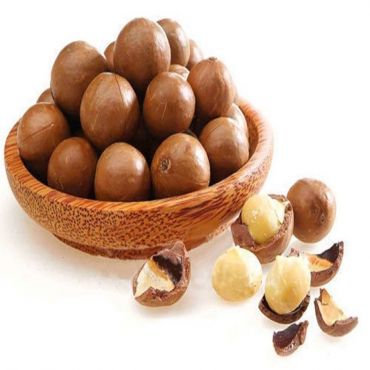 What are macadamia nuts? Distinguishing popular macadamia nuts on the market