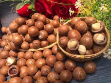 What are macadamia nuts that are so good for health ?