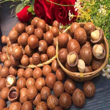 What are macadamia nuts that are so good for health ?