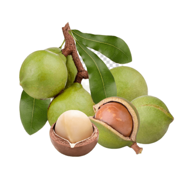 How much is the price of macadamia nuts, new quality, delicious standard