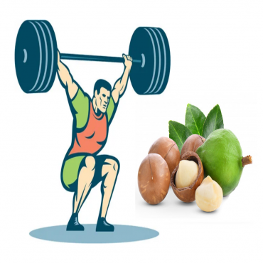 What are macadamia nuts? Health benefits of macadamia nuts.